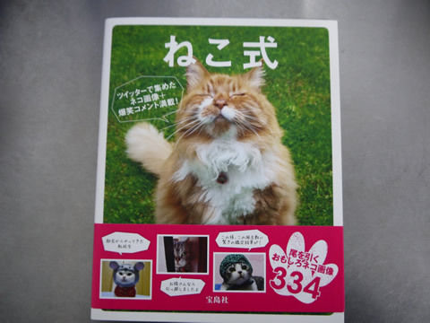 猫式ブログ～里親募集型猫カフェ