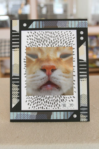 猫式ブログ~里親募集型猫カフェ
