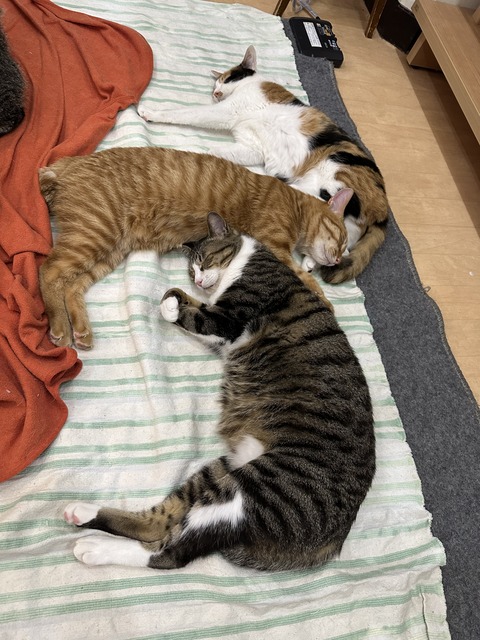 37442729-B8E5-4DEF-A0A9-3E4ADA43BB4D