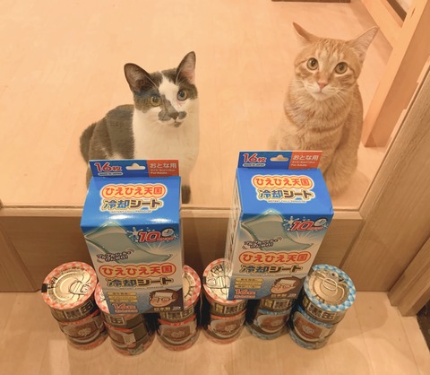 7C03BDE0-93AC-44BA-9BBA-737CB9B6C84C