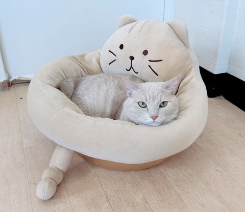 EB0389ED-2F20-4F39-9D14-2818DAE04093