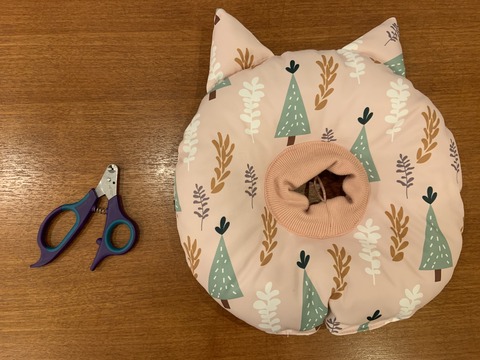 F553E799-E670-441B-979F-4B5CF01B6D7E