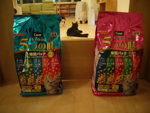 猫式ブログ～里親募集型猫カフェ