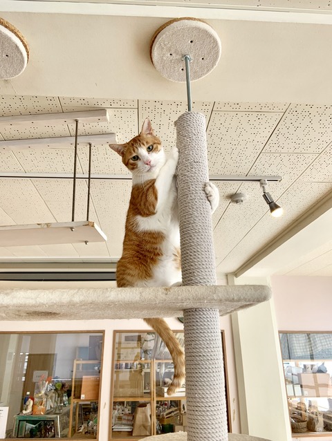 5DBD89CF-C978-4F01-8B6A-78559E06A6AA