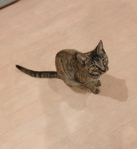 6ECA69B4-E015-428C-8A9C-E71F6455B6A4