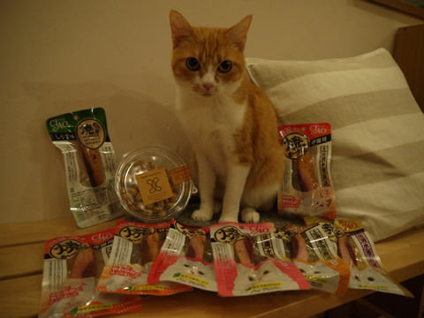 猫式ブログ～里親募集型猫カフェ