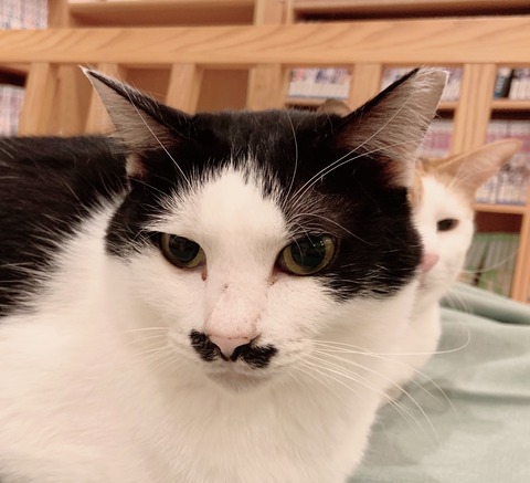 18CD6DD6-6158-434E-B718-284D76D6D680