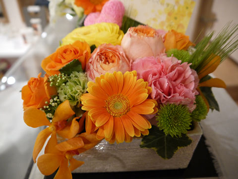 猫式ブログ~里親募集型猫カフェ