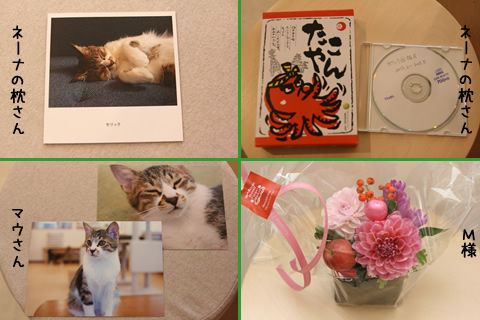 猫式ブログ~里親募集型猫カフェ