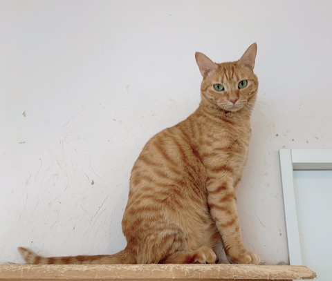 1A4A24E2-2C3D-4D5E-B0BB-D001F9DD5DCE