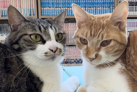 D94684D9-F67F-4921-B96B-B4FB44CD40AF