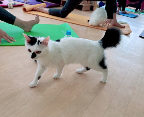 78FDB6E0-B7C0-4508-8BE6-5E8B7B626436