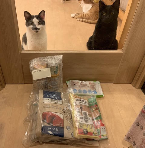 39586D5F-08AF-4893-8190-E85EDB8F4655