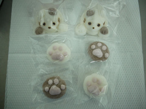 猫式ブログ～里親募集型猫カフェ