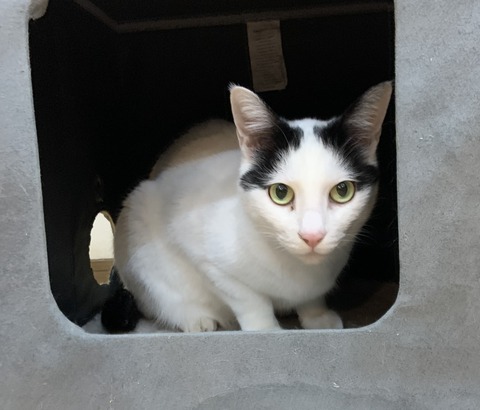 ADCF265F-1366-4DE0-867B-83C3737066D7