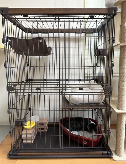 9523F749-7252-4C54-8A9C-838A6AF2C769