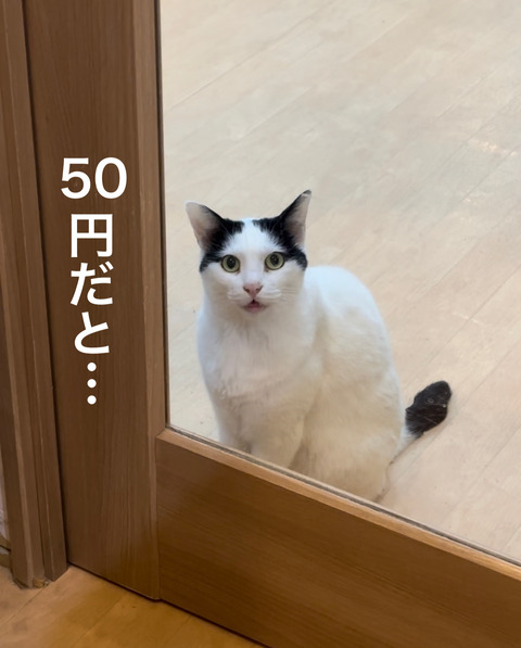 D6CE6B9F-51C4-40B5-AA0E-8BAAEF19CF6A