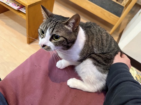 24B06A80-6387-4110-AE41-FF5A63EC4F45