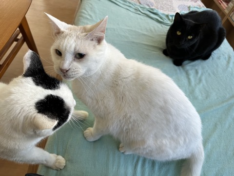 C1BAAE01-B77D-46BC-AC3E-4D30173948B3