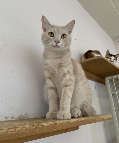 2C6FAC7C-333B-4426-863B-DD3EEAAA1E8A