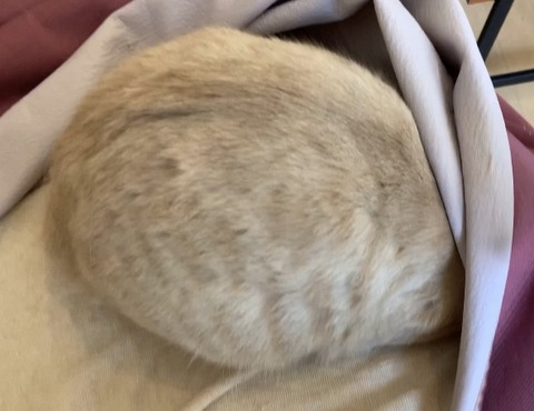 F50FF8F6-8382-4854-B435-B2B3E0BB7A70