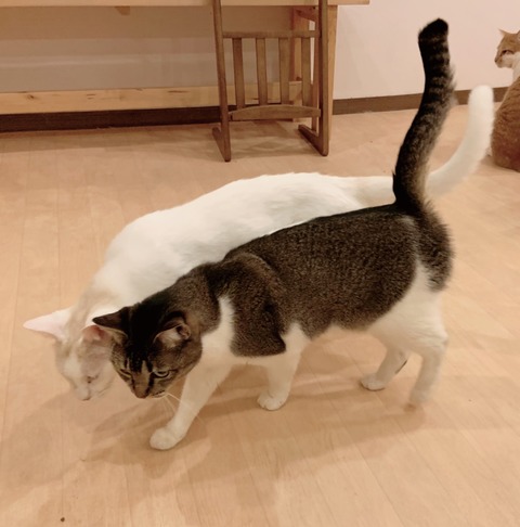 5F8D0B46-0707-411B-BF7D-FB012385AD62