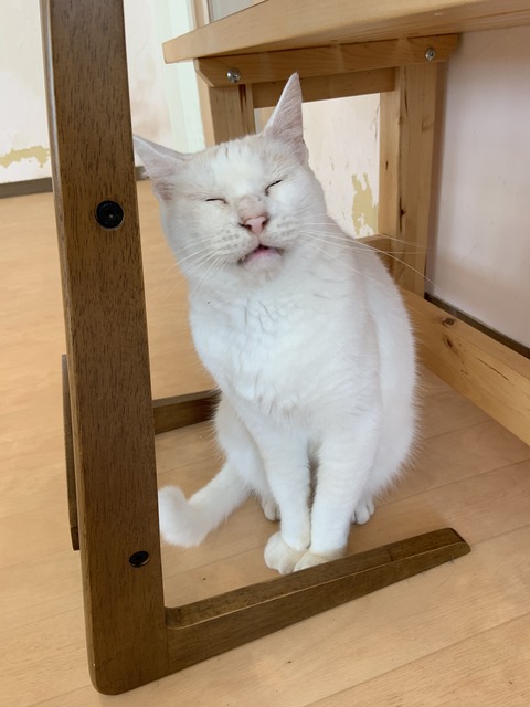 621A614D-1F0A-4D02-B134-BC775F821851