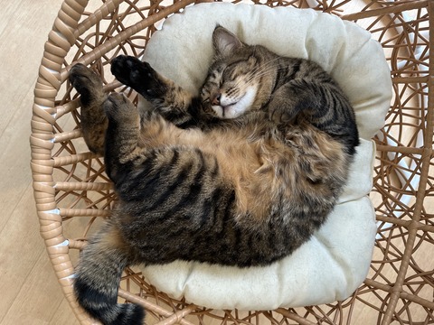 A77CC743-02B7-405C-A221-C7B42B8888E2