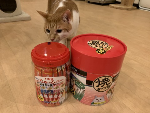 48101DA3-A0F1-467E-8A0B-67024BF80A34