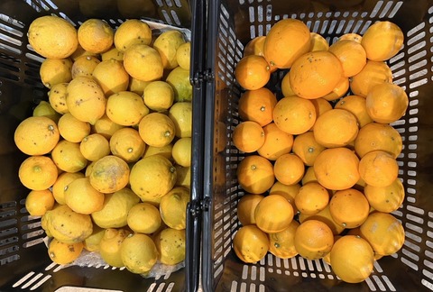 03182B97-BF24-4699-B372-F8BEE4A2BB0A