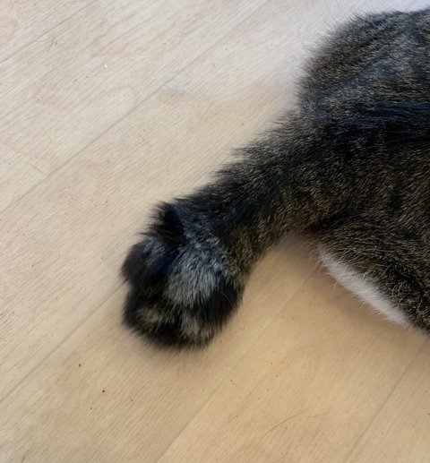 D162302E-FAA7-4B6E-A801-61AB9AE749D3