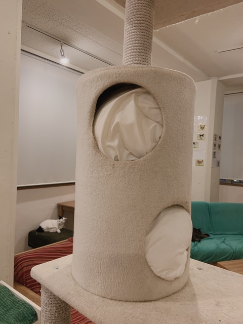 9270F2A5-93C0-4AE9-94F2-A8266D41EB87