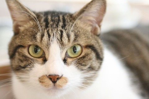 4415DC81-642D-471D-82BF-6D660B0739DC