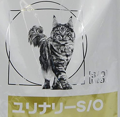 F368BE0D-DC6F-44B0-A1E5-75BDE6BFC72F