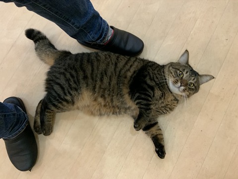 95A228A3-2519-4C03-93AE-717ED7356F79