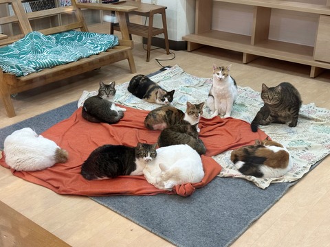 B1169A1B-2602-4CD6-B4A9-E5F5BC3CB4CF