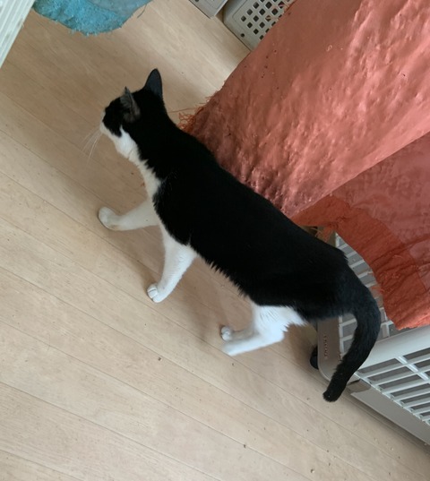 1A56A79C-F02C-4861-A4D0-C5B95FCB6BED