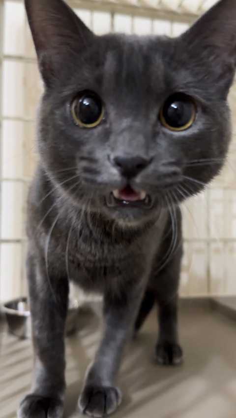 CD03235A-E9C8-4FA5-A1CE-D808271A5179