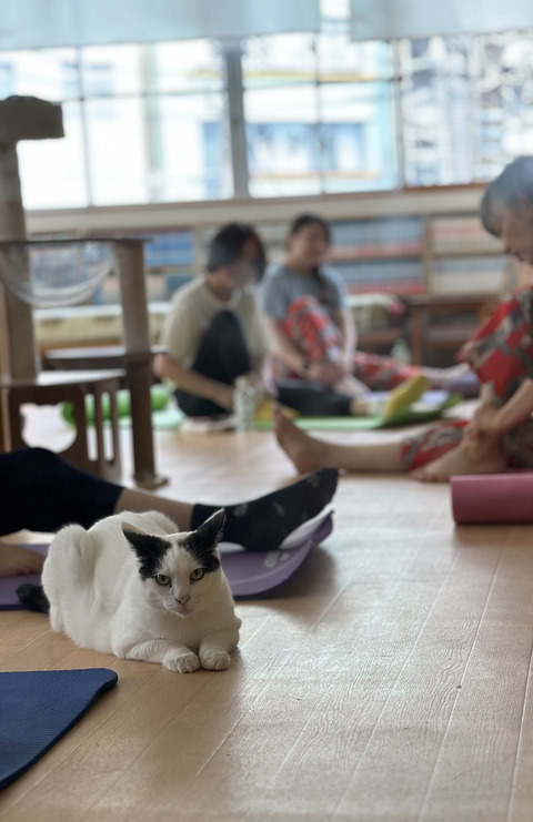 3EDB0E17-9FD2-44B0-9220-A7B57E0C82A9