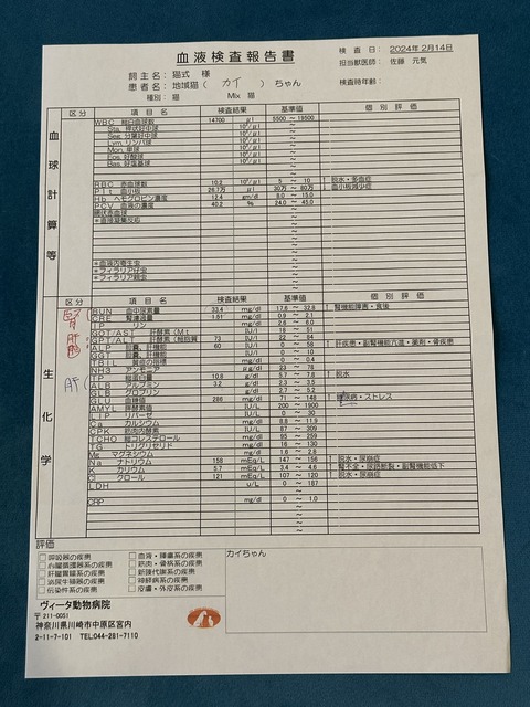 1012C72E-251A-443B-80B0-030B25A164F9