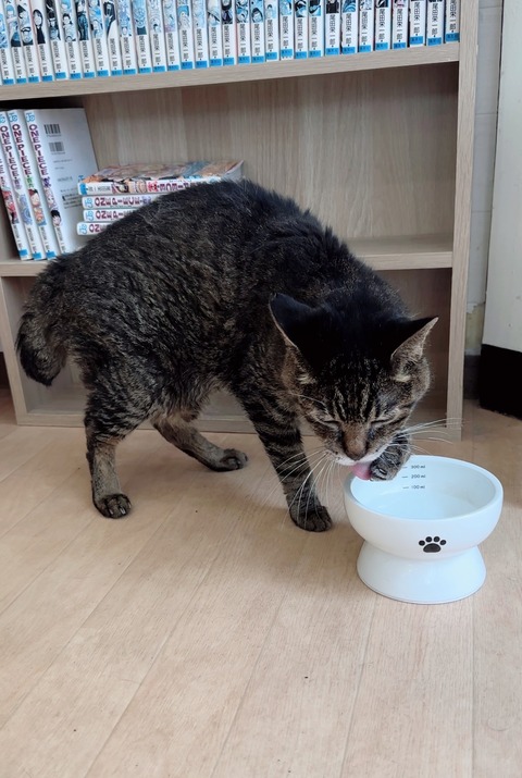 2353D307-87FD-44AE-881B-16779A399584