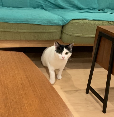 2933AC40-49C2-4057-BCD5-621E4ABF174A