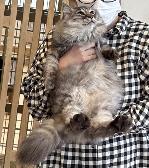 53831C58-A2E7-42F2-A27E-311A503AC36B