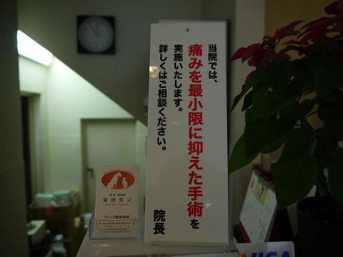 猫式ブログ~里親募集型猫カフェ