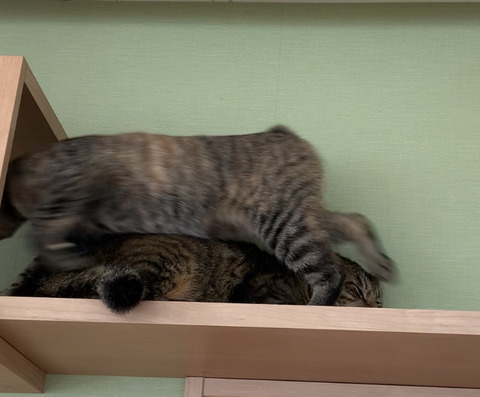 2F7A9B14-95FC-47C3-AD5D-DB2366A7BC07