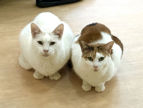 F03A0050-69D7-4472-9BD6-0E3B5B84F478