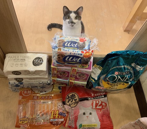 AB4CDB4A-C139-4FDA-B8CB-DB1576B1232C