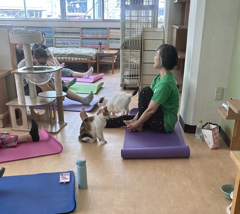 E62E8DB4-FEE1-4864-A1AE-5CC1B18EE325