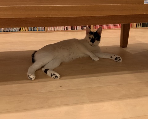 2BA64277-1DA1-4A33-923A-C3C683EDC8A0