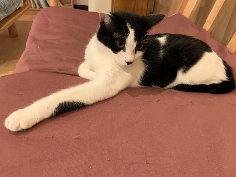 9ABCBD32-AA74-4437-9A8D-9803FE185EA8